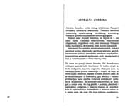 Tapa de Amerika