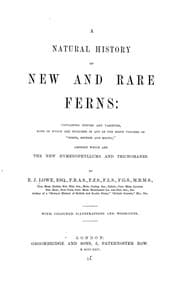 Tapa de A natural history of new and rare ferns