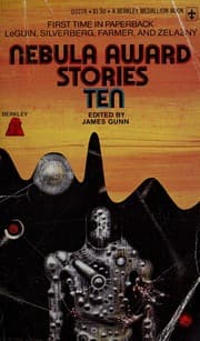 Tapa de Nebula Award Stys 10