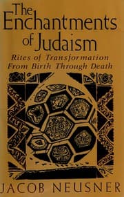 Tapa de The enchantments of Judaism