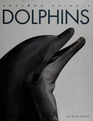 Tapa de Dolphins