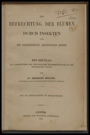 Tapa de Befruchtung der Blumen durch Insekten