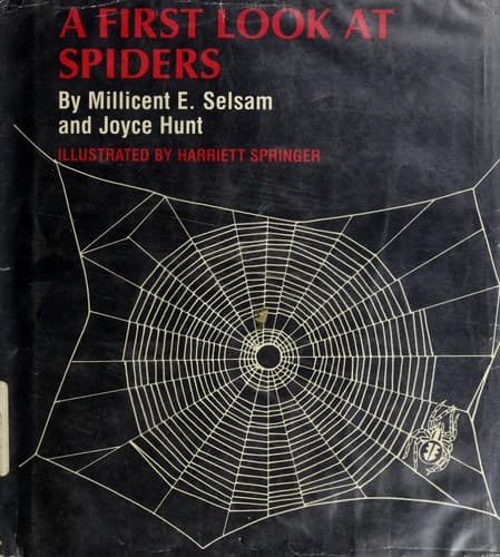 Tapa de A first look at spiders