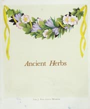Tapa de Ancient herbs in the J. Paul Getty Museum Gardens
