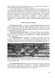 Tapa de Paleoichnologija