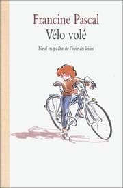 Tapa de Vélo volé