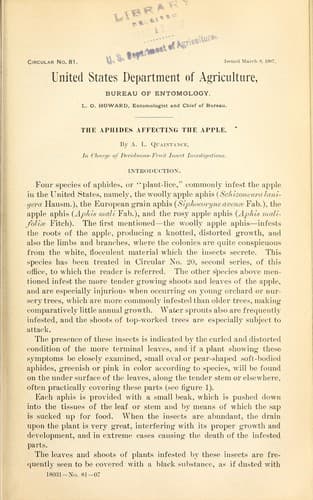 Tapa de The aphides affecting the apple