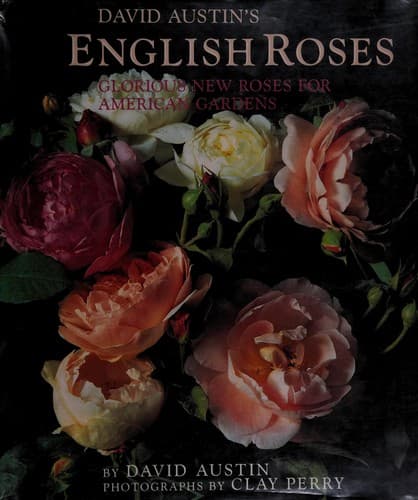 Tapa de David Austin's English roses