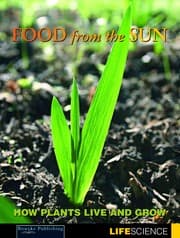 Tapa de Food from the sun