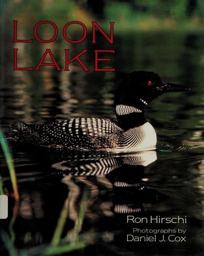 Tapa de Loon lake