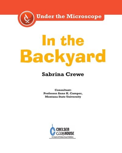 Tapa de Under the microscope