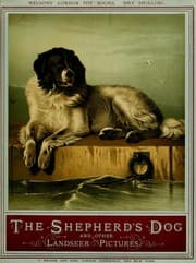 Tapa de The shepherd's dog and other Landseer pictures
