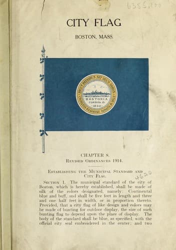 Tapa de City flag ...