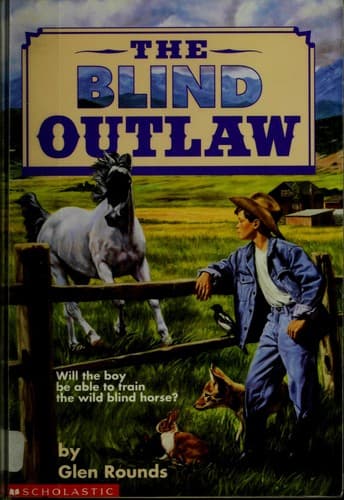 Tapa de The Blind Outlaw