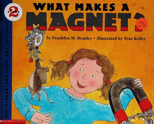 Tapa de What makes a magnet?