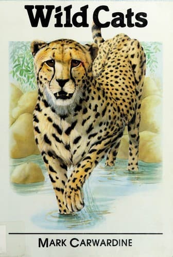 Tapa de Wild Cats