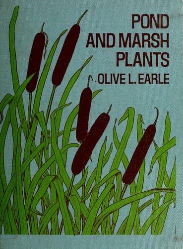 Tapa de Pond and marsh plants