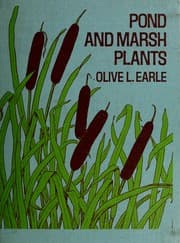 Tapa de Pond and marsh plants