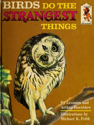 Tapa de Birds Do Strangest Thing