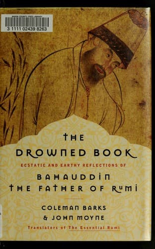 Tapa de The drowned book