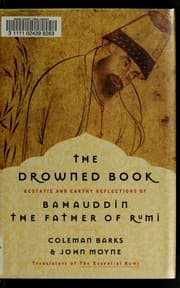 Tapa de The drowned book