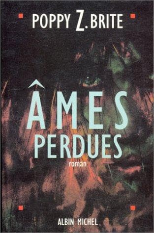 Tapa de Ames perdues
