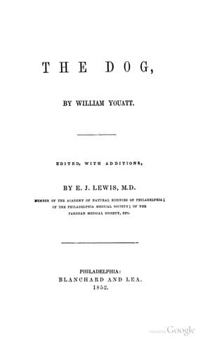 Tapa de The Dog