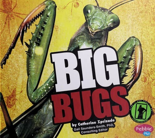 Tapa de Big bugs