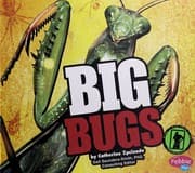 Tapa de Big bugs