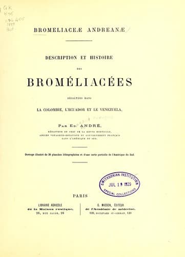 Tapa de Bromeliaceae andreanae