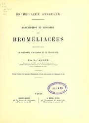 Tapa de Bromeliaceae andreanae