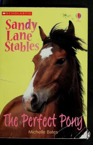 Tapa de The perfect pony