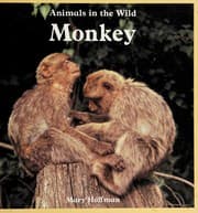 Tapa de Monkey