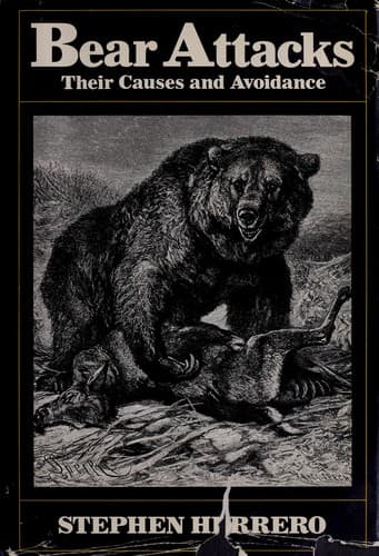 Tapa de Bear attacks