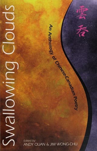 Tapa de Swallowing clouds