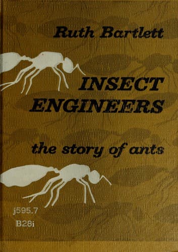 Tapa de Insect engineers