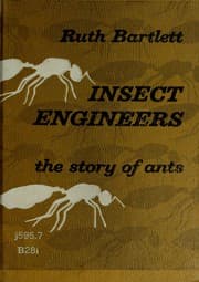 Tapa de Insect engineers