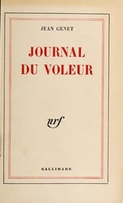 Tapa de Journal du voleur