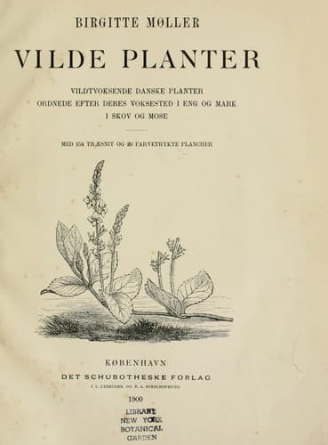 Tapa de Vilde planter