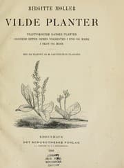 Tapa de Vilde planter
