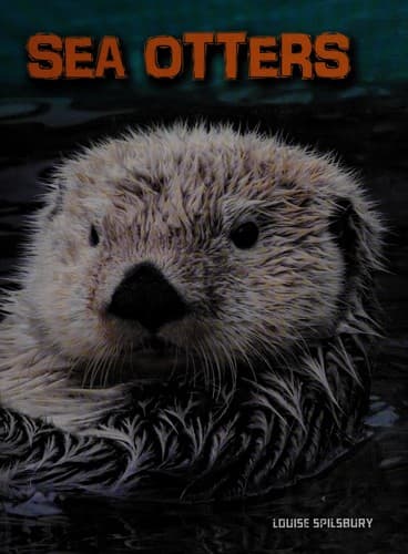 Tapa de Sea otters