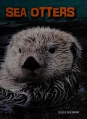 Tapa de Sea otters