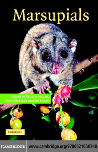 Tapa de Marsupials