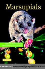 Tapa de Marsupials