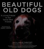 Tapa de Beautiful old dogs