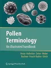 Tapa de Pollen Terminology