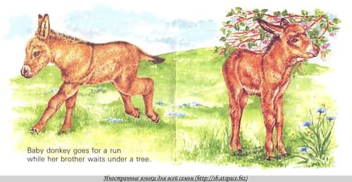 Tapa de Baby Farm Animals