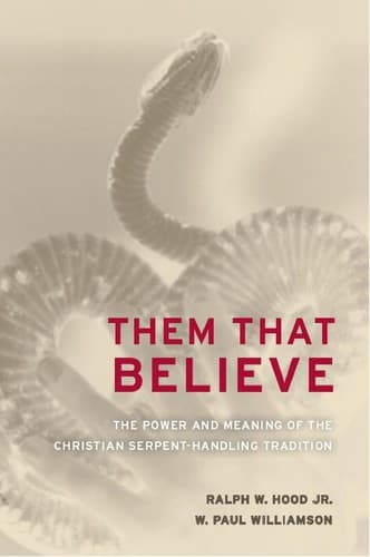 Tapa de Them that believe