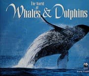 Tapa de The world of whales & dolphins