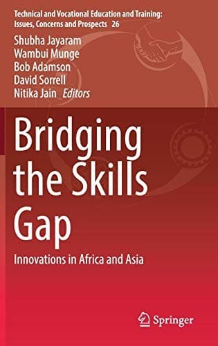 Tapa de Bridging the Skills Gap